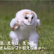 ヒメ日記 2025/06/08 12:16 投稿 赤坂ナース 病院