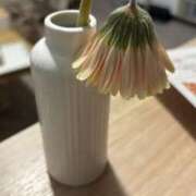 ヒメ日記 2026/04/02 22:56 投稿 赤坂ナース 病院