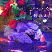 赤坂ナース ♡お知らせ♡ 病院