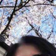 ヒメ日記 2026/03/29 08:45 投稿 宇佐美奈々 プレジデントクラブ