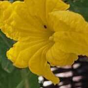 ヒメ日記 2025/05/18 08:36 投稿 広瀬瑞輝 プレジデントクラブ