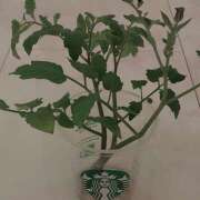 ヒメ日記 2025/06/30 13:21 投稿 広瀬瑞輝 プレジデントクラブ