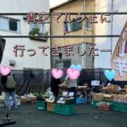 ヒメ日記 2024/12/10 19:48 投稿 一条彩香 プレジデントクラブ