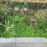 ヒメ日記 2024/12/11 01:32 投稿 一条彩香 プレジデントクラブ