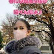 ヒメ日記 2024/12/20 23:53 投稿 一条彩香 プレジデントクラブ