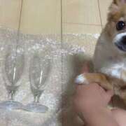 ヒメ日記 2024/12/21 02:32 投稿 一条彩香 プレジデントクラブ