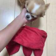 ヒメ日記 2024/12/21 02:39 投稿 一条彩香 プレジデントクラブ