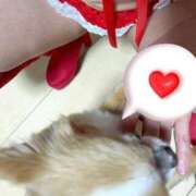 ヒメ日記 2024/12/22 05:43 投稿 一条彩香 プレジデントクラブ