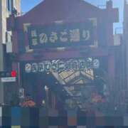 ヒメ日記 2024/12/22 20:03 投稿 一条彩香 プレジデントクラブ