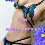 ヒメ日記 2024/12/23 15:23 投稿 一条彩香 プレジデントクラブ