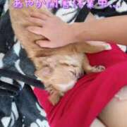 ヒメ日記 2025/01/04 17:59 投稿 一条彩香 プレジデントクラブ