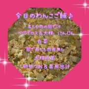 ヒメ日記 2025/01/05 08:02 投稿 一条彩香 プレジデントクラブ