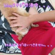 ヒメ日記 2025/01/07 16:41 投稿 一条彩香 プレジデントクラブ