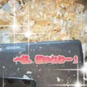 ヒメ日記 2025/01/23 06:51 投稿 一条彩香 プレジデントクラブ