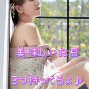 ヒメ日記 2025/02/02 16:16 投稿 一条彩香 プレジデントクラブ