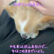 ヒメ日記 2025/02/03 14:08 投稿 一条彩香 プレジデントクラブ