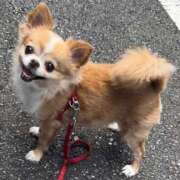 ヒメ日記 2025/02/03 18:30 投稿 一条彩香 プレジデントクラブ