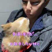 ヒメ日記 2025/02/07 12:32 投稿 一条彩香 プレジデントクラブ