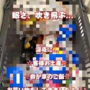 ヒメ日記 2025/02/10 01:24 投稿 一条彩香 プレジデントクラブ