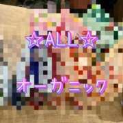 ヒメ日記 2025/02/11 19:01 投稿 一条彩香 プレジデントクラブ