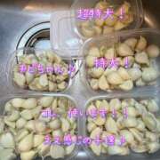 ヒメ日記 2025/02/12 02:58 投稿 一条彩香 プレジデントクラブ