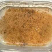 ヒメ日記 2025/02/13 00:10 投稿 一条彩香 プレジデントクラブ