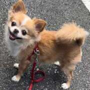 ヒメ日記 2025/02/13 03:21 投稿 一条彩香 プレジデントクラブ