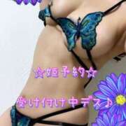 ヒメ日記 2025/02/20 08:18 投稿 一条彩香 プレジデントクラブ