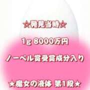 ヒメ日記 2025/02/20 15:25 投稿 一条彩香 プレジデントクラブ