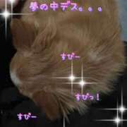 ヒメ日記 2025/02/22 04:51 投稿 一条彩香 プレジデントクラブ