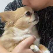 ヒメ日記 2025/02/28 07:09 投稿 一条彩香 プレジデントクラブ