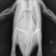 ヒメ日記 2025/03/02 15:08 投稿 一条彩香 プレジデントクラブ