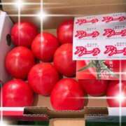 ヒメ日記 2025/03/04 10:00 投稿 一条彩香 プレジデントクラブ