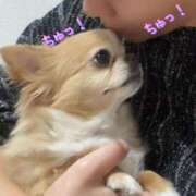 ヒメ日記 2025/03/11 18:51 投稿 一条彩香 プレジデントクラブ