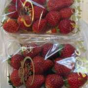 ヒメ日記 2025/03/12 07:01 投稿 一条彩香 プレジデントクラブ