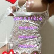 ヒメ日記 2025/03/14 17:50 投稿 一条彩香 プレジデントクラブ