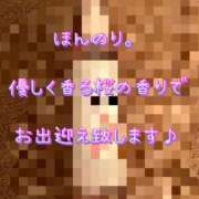 ヒメ日記 2025/03/15 08:18 投稿 一条彩香 プレジデントクラブ