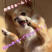 ヒメ日記 2025/03/17 23:02 投稿 一条彩香 プレジデントクラブ