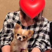 ヒメ日記 2025/03/19 19:08 投稿 一条彩香 プレジデントクラブ