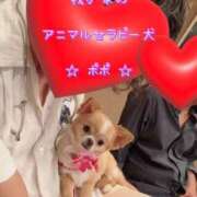 ヒメ日記 2025/03/20 02:30 投稿 一条彩香 プレジデントクラブ