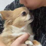 ヒメ日記 2025/03/24 22:04 投稿 一条彩香 プレジデントクラブ