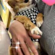 ヒメ日記 2025/03/26 16:57 投稿 一条彩香 プレジデントクラブ