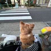 ヒメ日記 2025/03/30 02:50 投稿 一条彩香 プレジデントクラブ