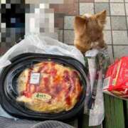 ヒメ日記 2025/03/30 02:57 投稿 一条彩香 プレジデントクラブ