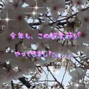 ヒメ日記 2025/03/30 17:04 投稿 一条彩香 プレジデントクラブ