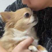 ヒメ日記 2025/04/01 14:20 投稿 一条彩香 プレジデントクラブ