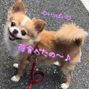 ヒメ日記 2025/04/02 17:08 投稿 一条彩香 プレジデントクラブ