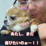 ヒメ日記 2025/04/03 06:24 投稿 一条彩香 プレジデントクラブ