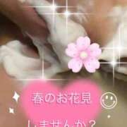 ヒメ日記 2025/04/03 09:02 投稿 一条彩香 プレジデントクラブ