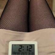 ヒメ日記 2025/04/03 14:19 投稿 一条彩香 プレジデントクラブ